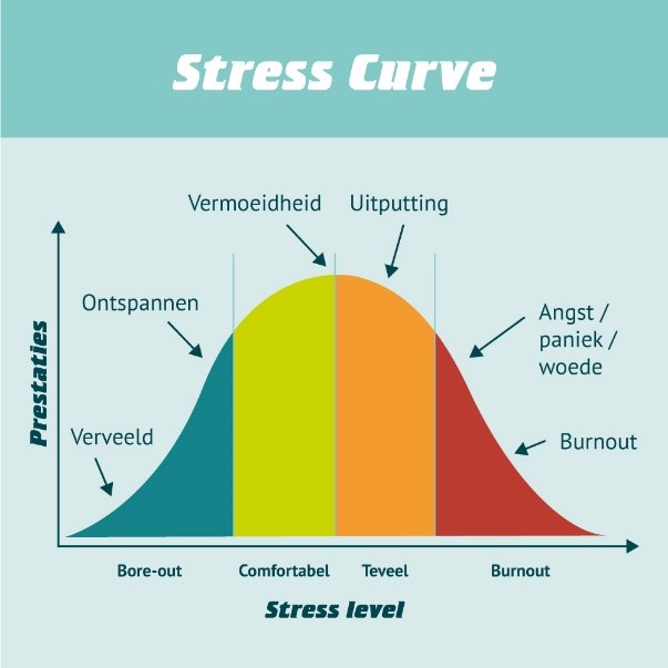 Stress curve